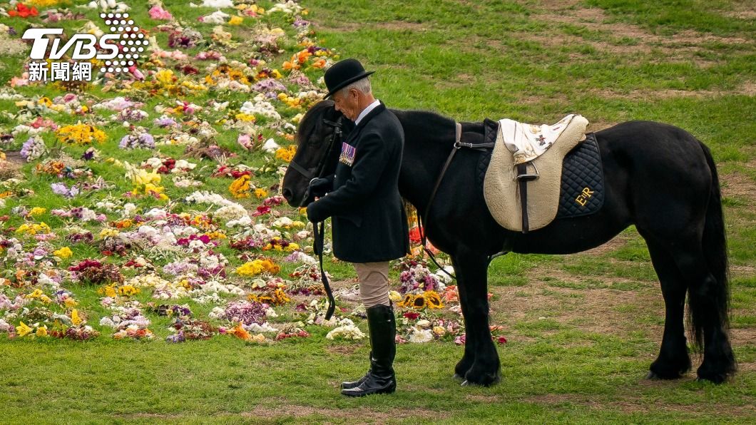 女王豢養了26年的黑色小馬艾瑪(Carltonlima Emma)與馬伕站立在溫莎城堡(Windsor Castle)草皮送別女王。