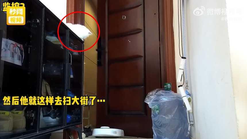 寵物白貓伸手開門。(圖/翻攝自微博秒聞視頻)