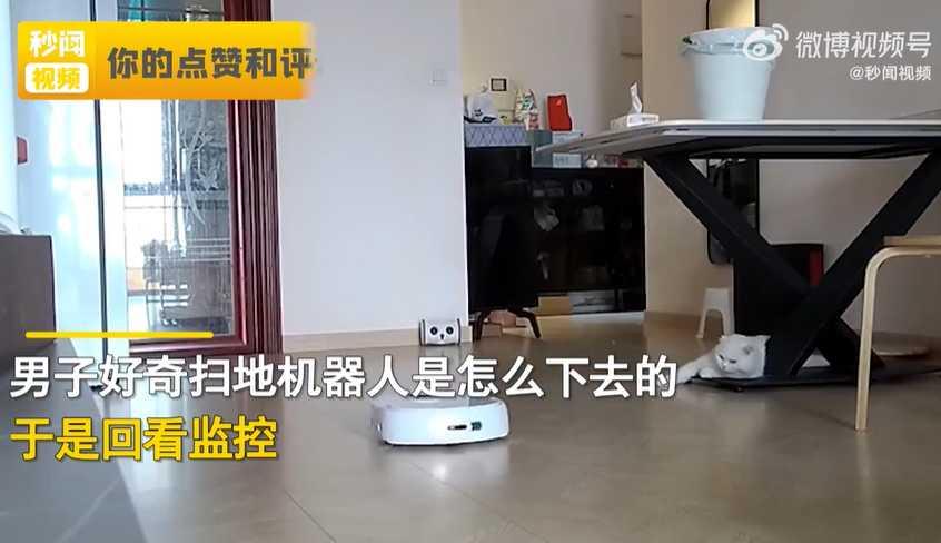 起初掃地機器人一如往常在家工作。(圖/翻攝自微博秒聞視頻)