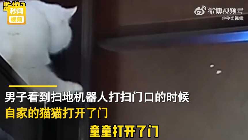 寵物白貓伸手開門。(圖/翻攝自微博秒聞視頻)