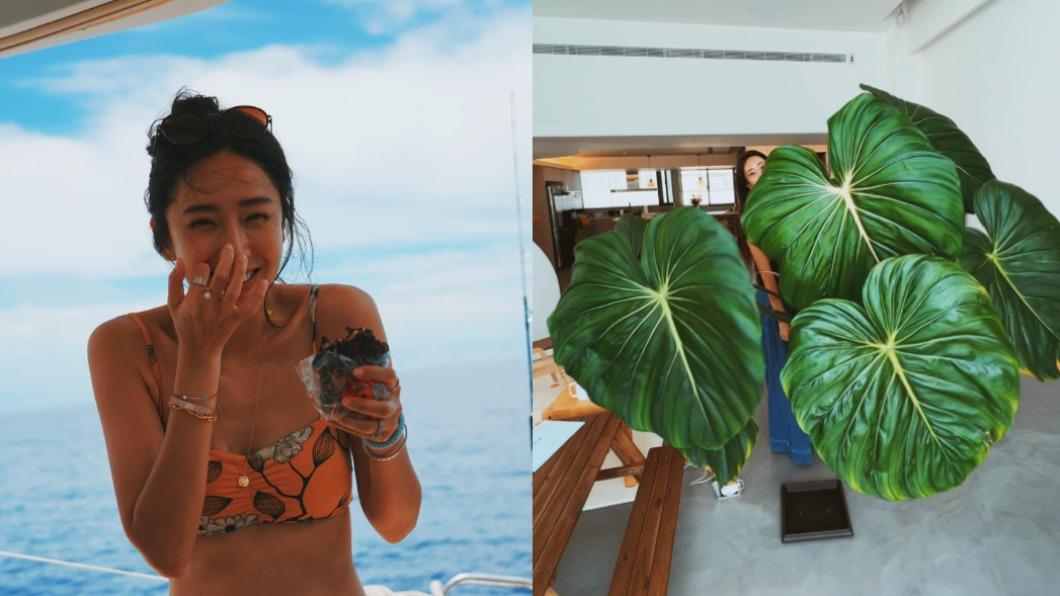 根本度假酒店!隋棠海島風新家「沒窗簾」羞喊:非常刺激