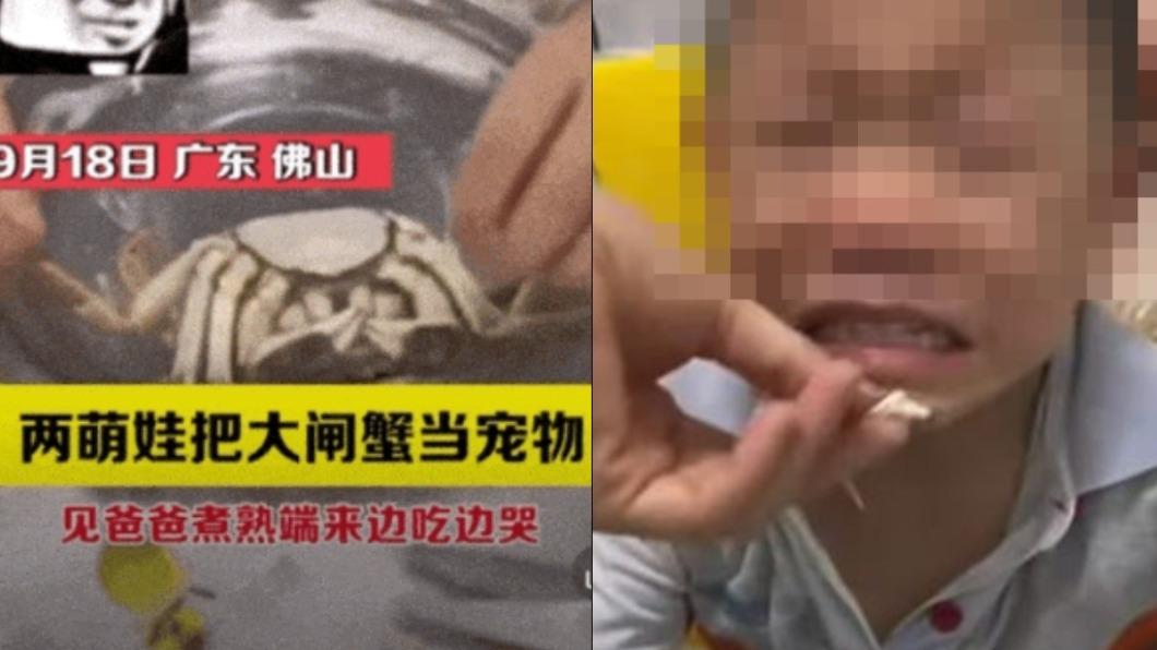 「寵物蟹」慘遭爸煮熟還逼吃 2孩崩潰邊啃邊哭:真香
