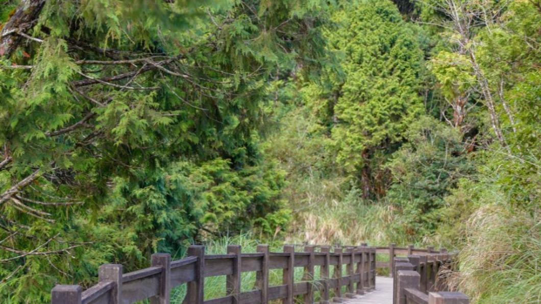 從東口走進到觀湖平台大約只需10分鐘內。(圖/卡夫卡愛旅行提供)