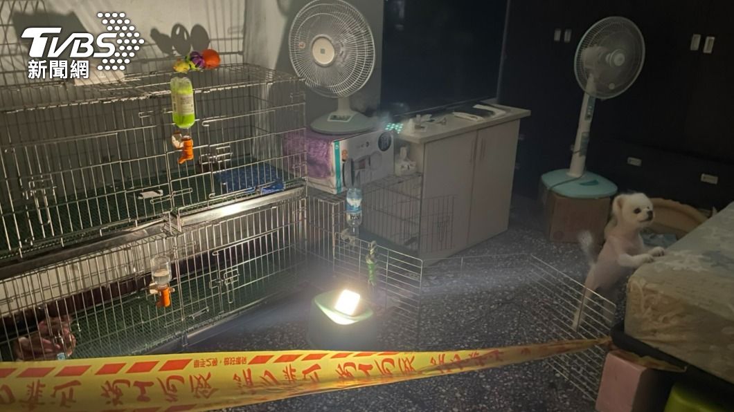 原先工廠內共有52隻品種狗。(圖/新北市動保處)