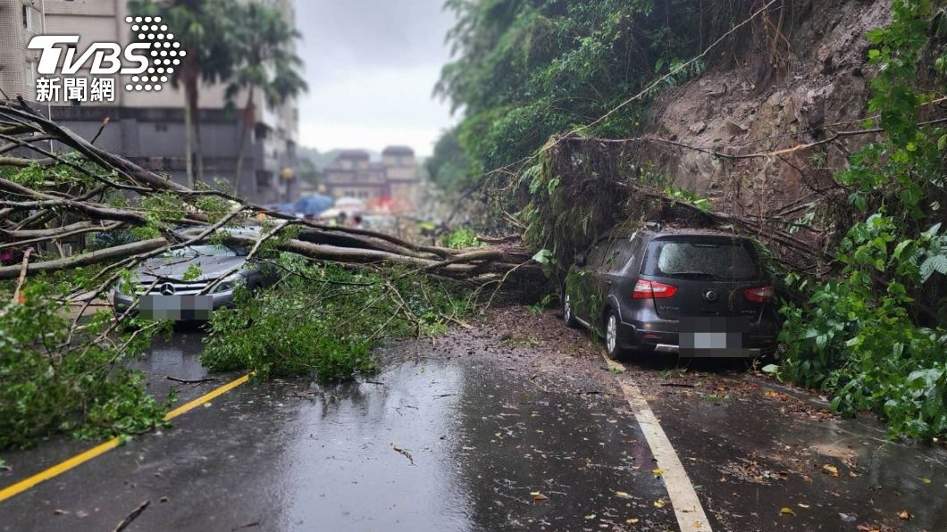 大雨釀災!基隆馬路「土石崩落」路樹倒 3車慘遭壓毀