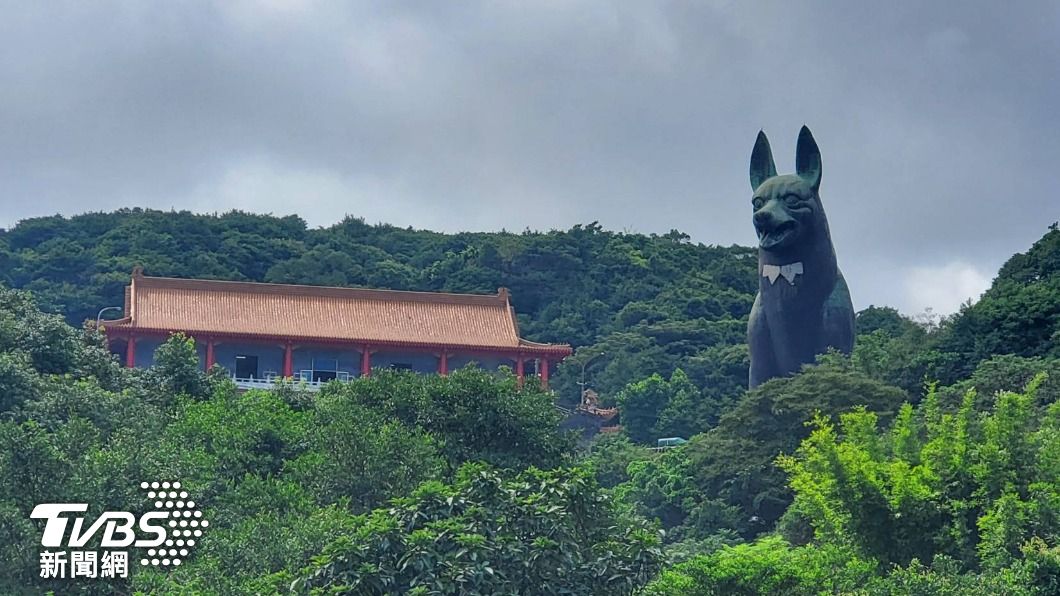 30公尺高!台版忠犬小八 十八王公茂林義犬廟區密境曝光