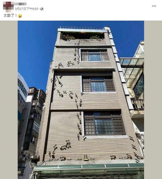 不少網友打趣這是台南人的家,甜到螞蟻都來了。(圖/翻攝自路上觀察學院臉書)