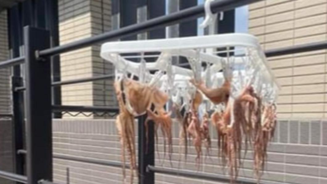 正港ㄟ海味!頂樓「曬魷魚」被點名 他笑噴:真現撈餒