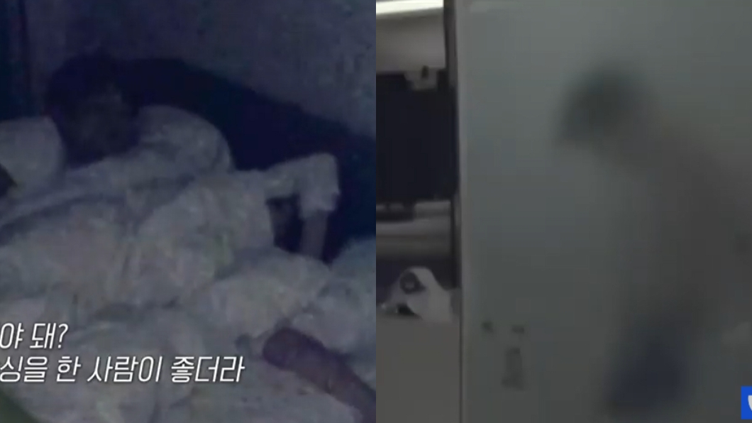 超扯!韓新戀綜「一夜情」當主軸 來賓狂摸禁忌帶網看傻