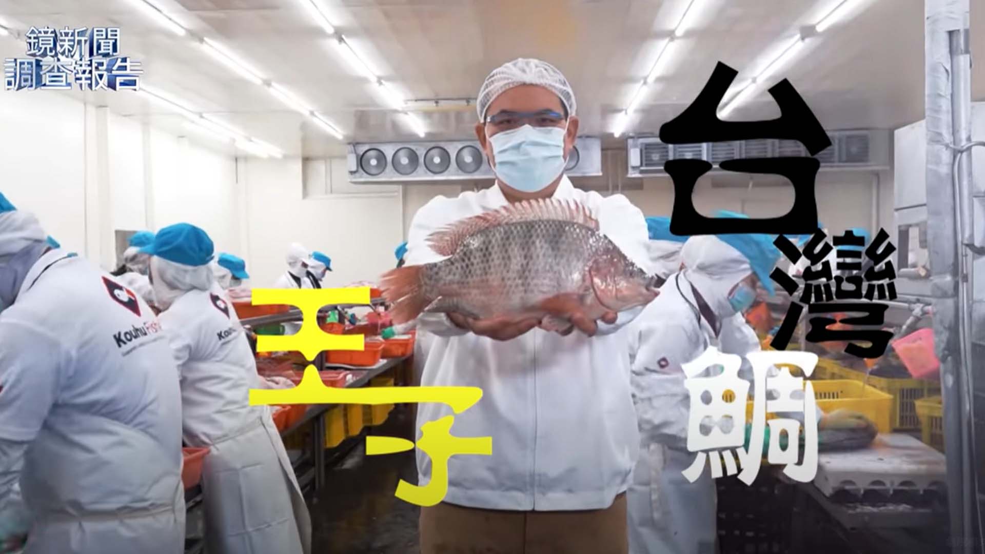 迎戰氣候變遷　台灣鯛翻身外銷全球
