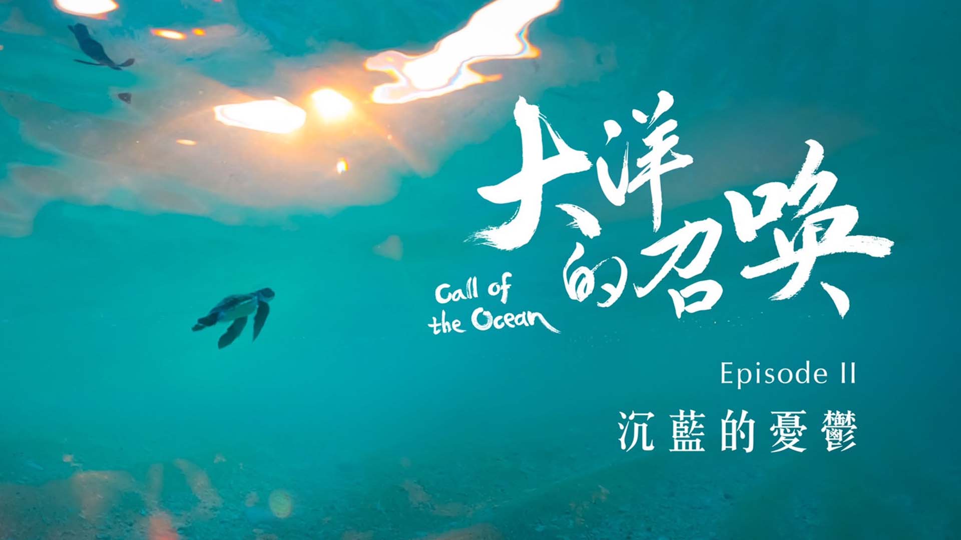 大洋的召喚系列報導_二部曲_沉藍的憂鬱