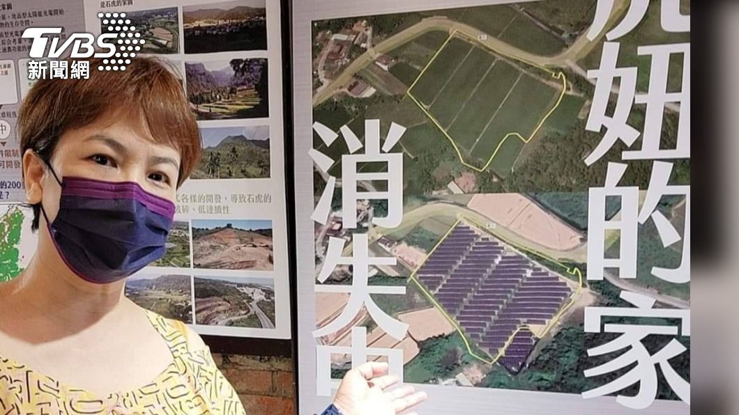 苗栗美女畫家丘璦珍，畫出萌萌療癒系石虎水彩畫義賣。(照片丘璦珍提供)