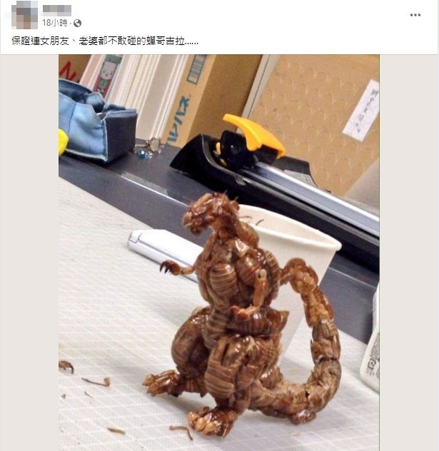 要靠近需要一點勇氣。(圖/翻攝自爆廢公社公開版臉書)