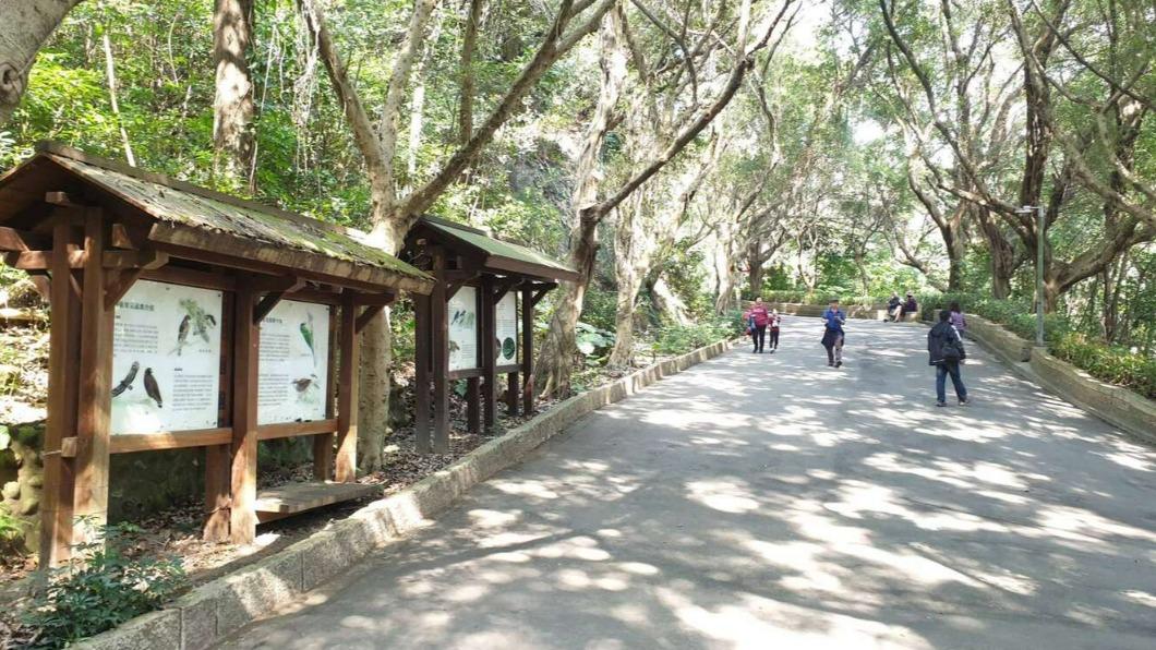 3工人赴青年公園除草遭蜂螫送醫。（圖／新北市觀光旅遊網）