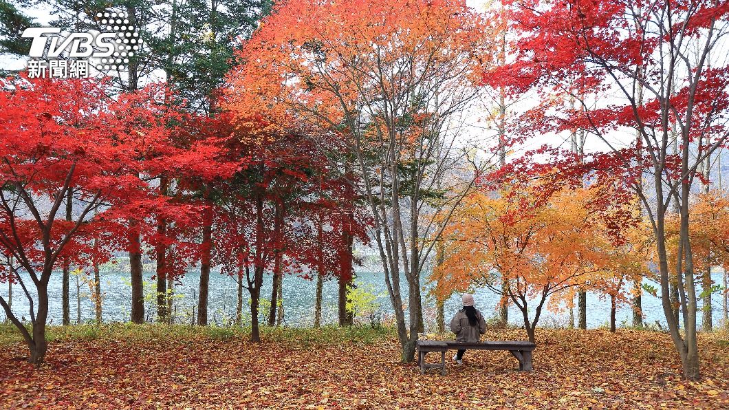 示意圖/shutterstock 達志影像