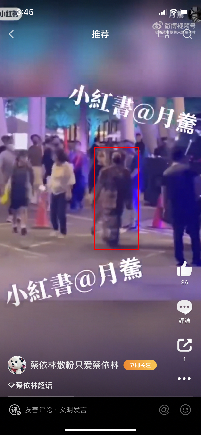 蔡依林身穿豹紋大衣,頂著一顆爆炸頭。(圖/翻攝自微博)
