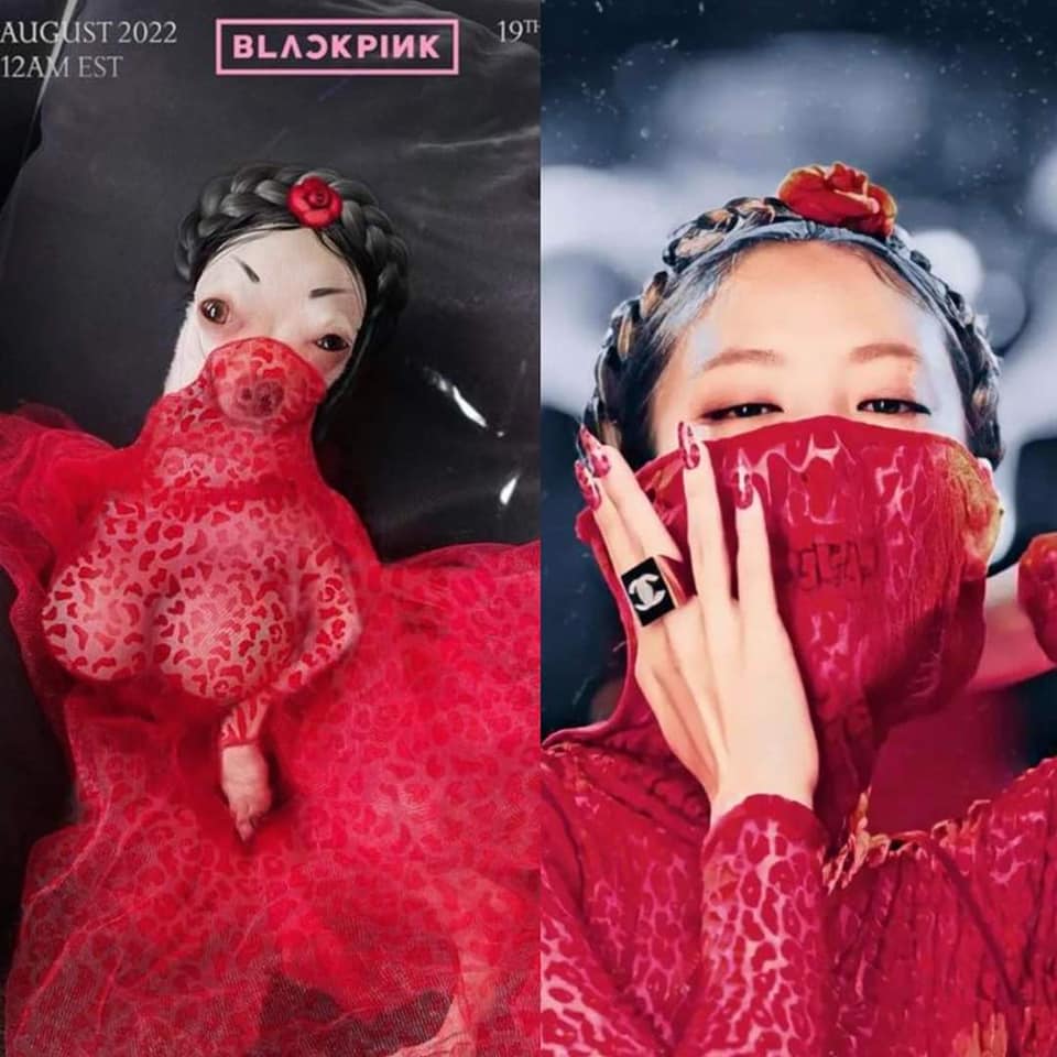 吉娃娃被打扮成韓團Black Pink的成員Jennie。(圖/翻攝自爆廢公社公開版)