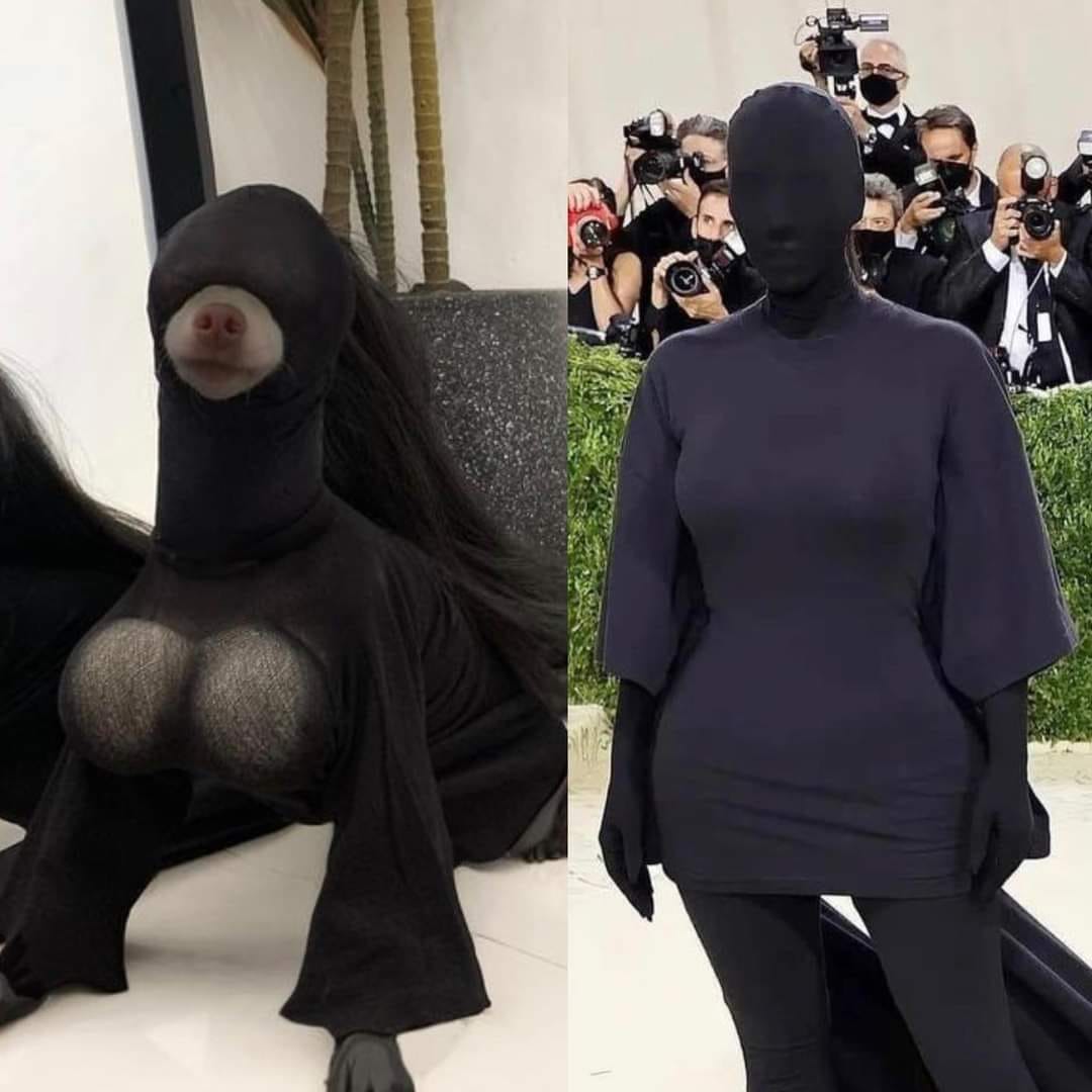 吉娃娃被扮成Kim Kardashian在Met Gala上穿的黑色包裹式禮服。(圖/翻攝自爆廢公社公開版)