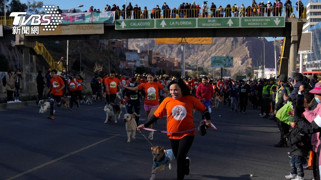 與寵物路跑?西班牙「狗」拉松 5000毛孩一起做公益