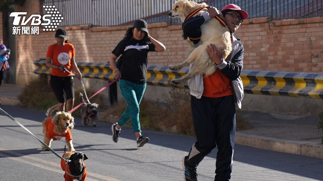 許多人帶著愛犬參加狗拉松路跑。(圖/達志影像美聯社)