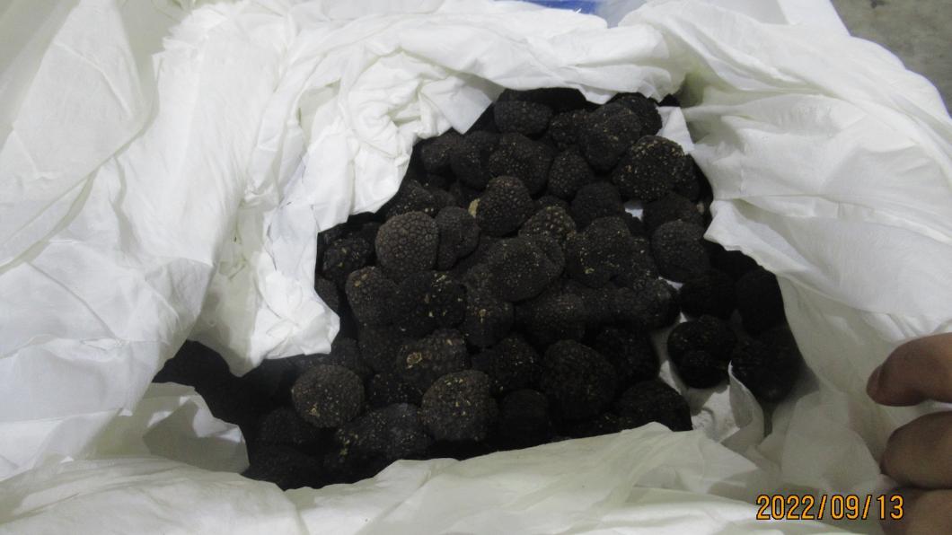 義大利「IL TARTUFO DI PAOLO新鮮夏季黑松露(TARTUFO ESTIVO FRESCO (TUBER AESTIVUM VITT))」。（圖／食藥署提供）