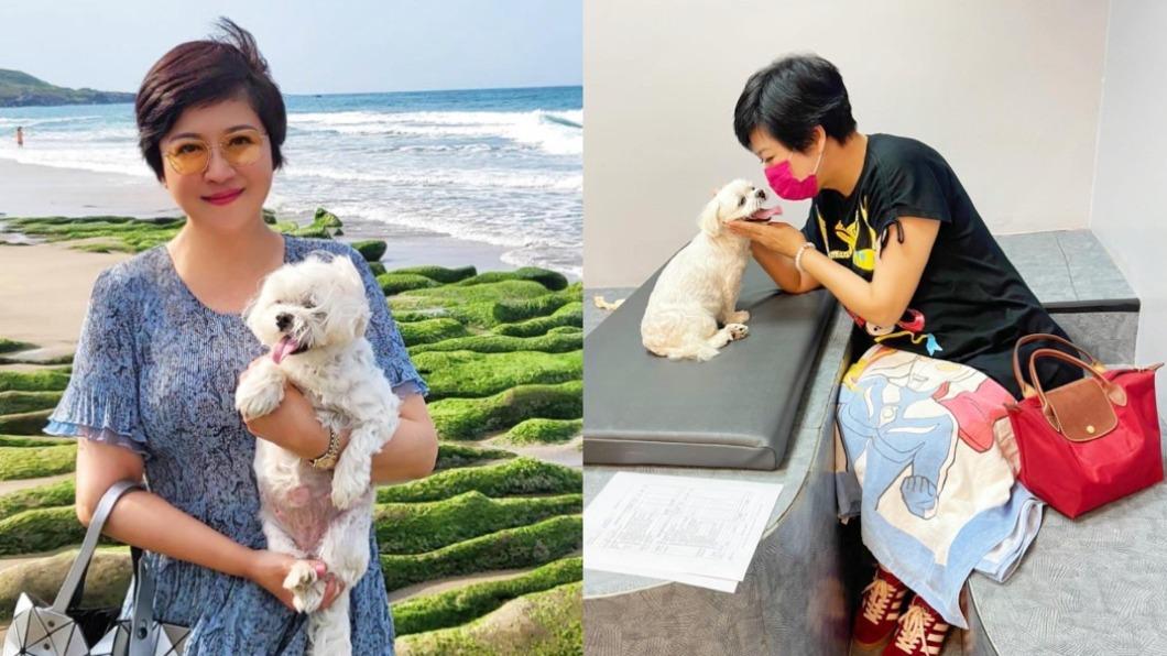 愛犬瘸腿恐殘廢！崔佩儀秒砸12萬救牠：錢再賺就有