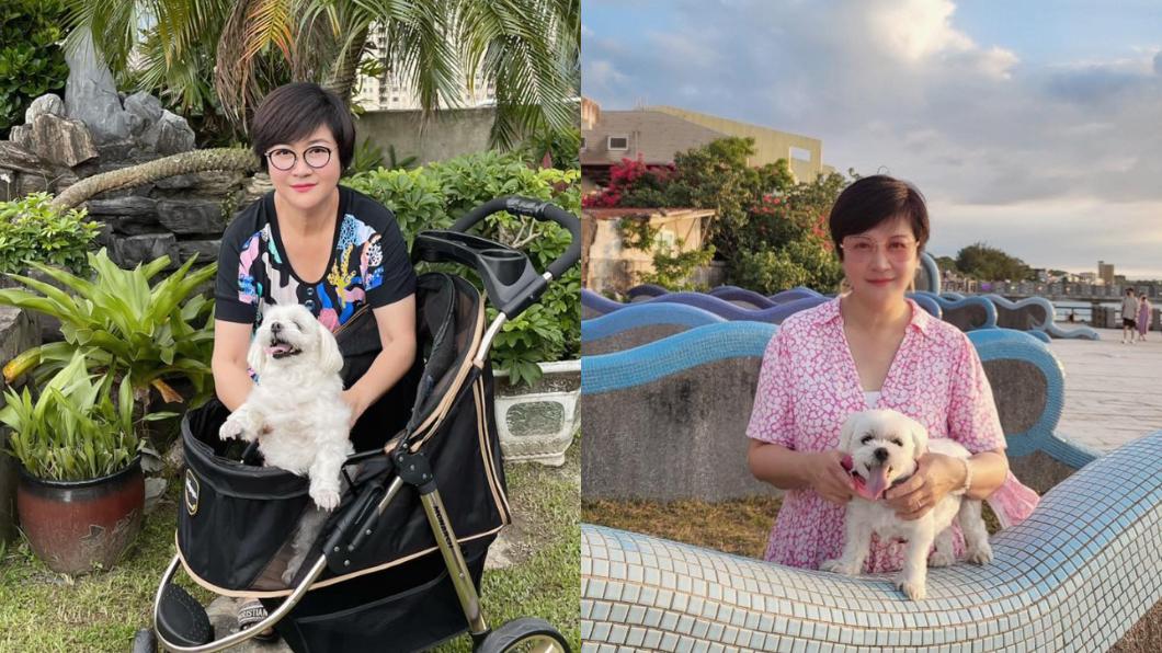 崔佩儀時常帶著愛犬出遊。(圖/翻攝自崔佩儀臉書)