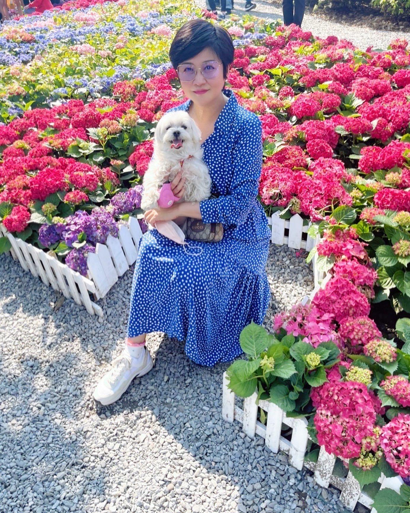 崔佩儀的愛犬「妹妹」瘸腿,花了12萬元開刀救治。(圖/翻攝自崔佩儀臉書)