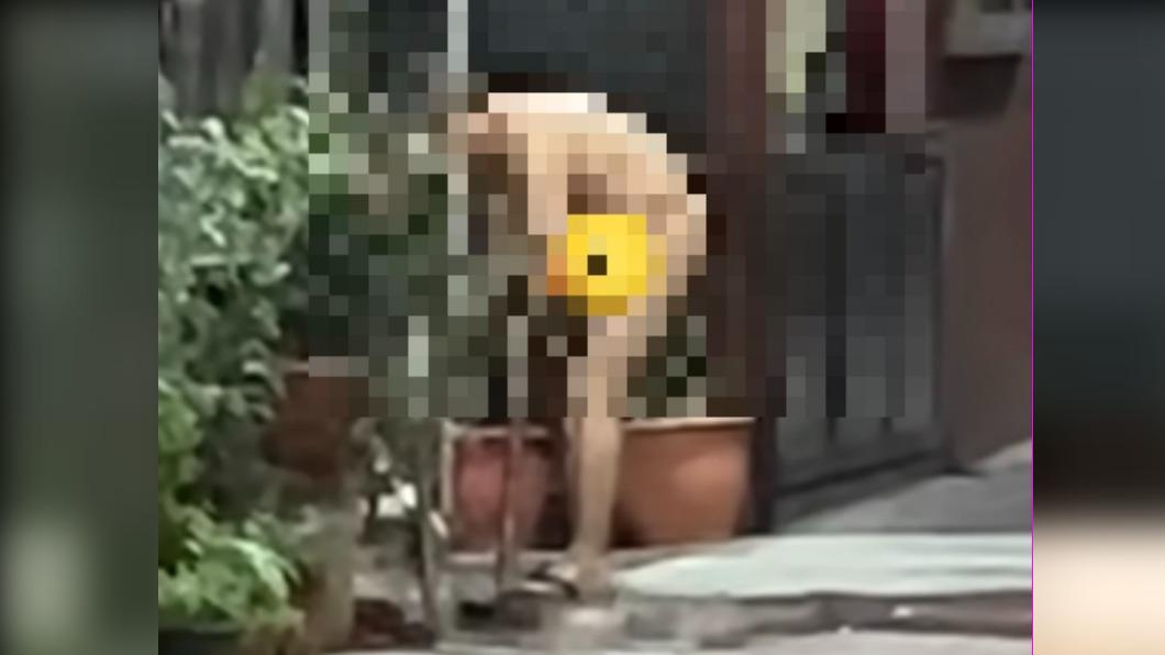 阿北出事了!新莊土地公廟前全裸洗澡 街友挨罰