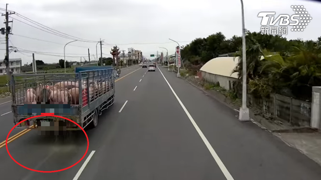 後方駕駛建排泄物嚇壞急閃。(圖/翻攝自爆料公社)