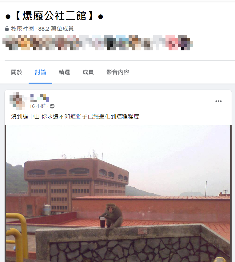 獼猴坐在頂樓插吸管爽喝手搖飲。（圖／翻攝自爆廢公社二館）