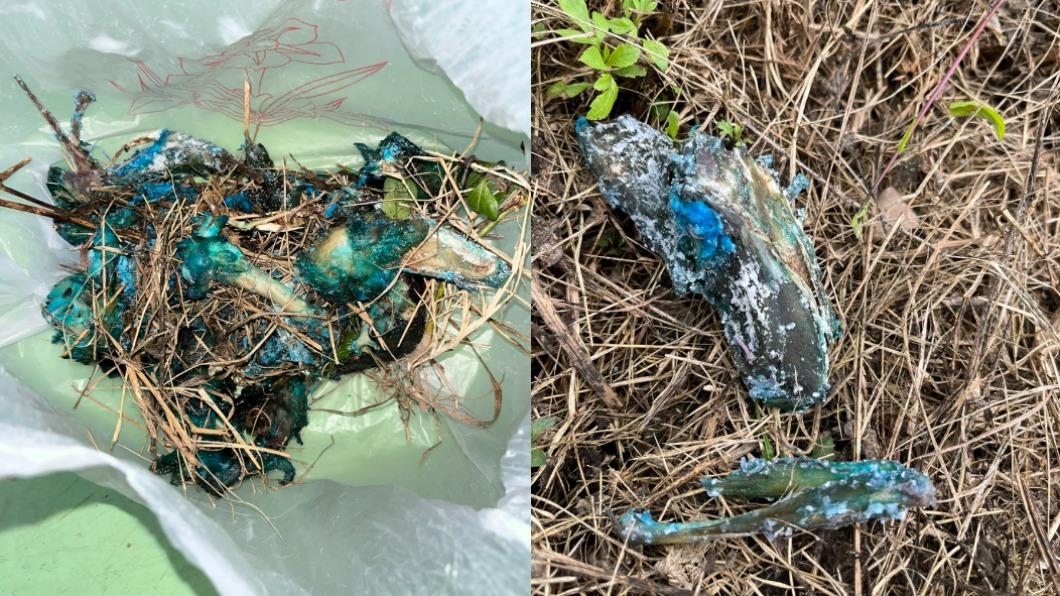 愛犬遭毒殺!飼主撿出整袋「藍雞骨」 怒:牠是我家人!