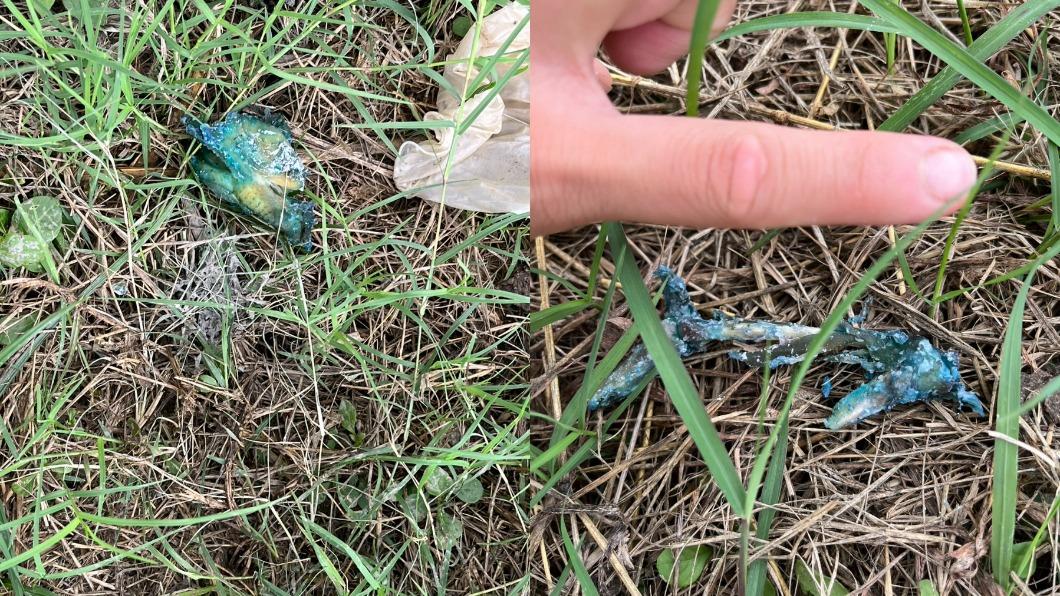 飼主撿出整袋「藍雞骨」。(圖/翻攝自大寮五四三開講吶喊專用)