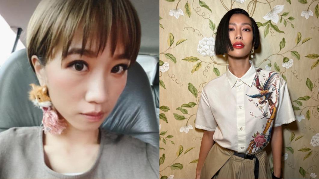 雙面人風波還沒完！火燒網紅莫莉　本人親回10字反擊　