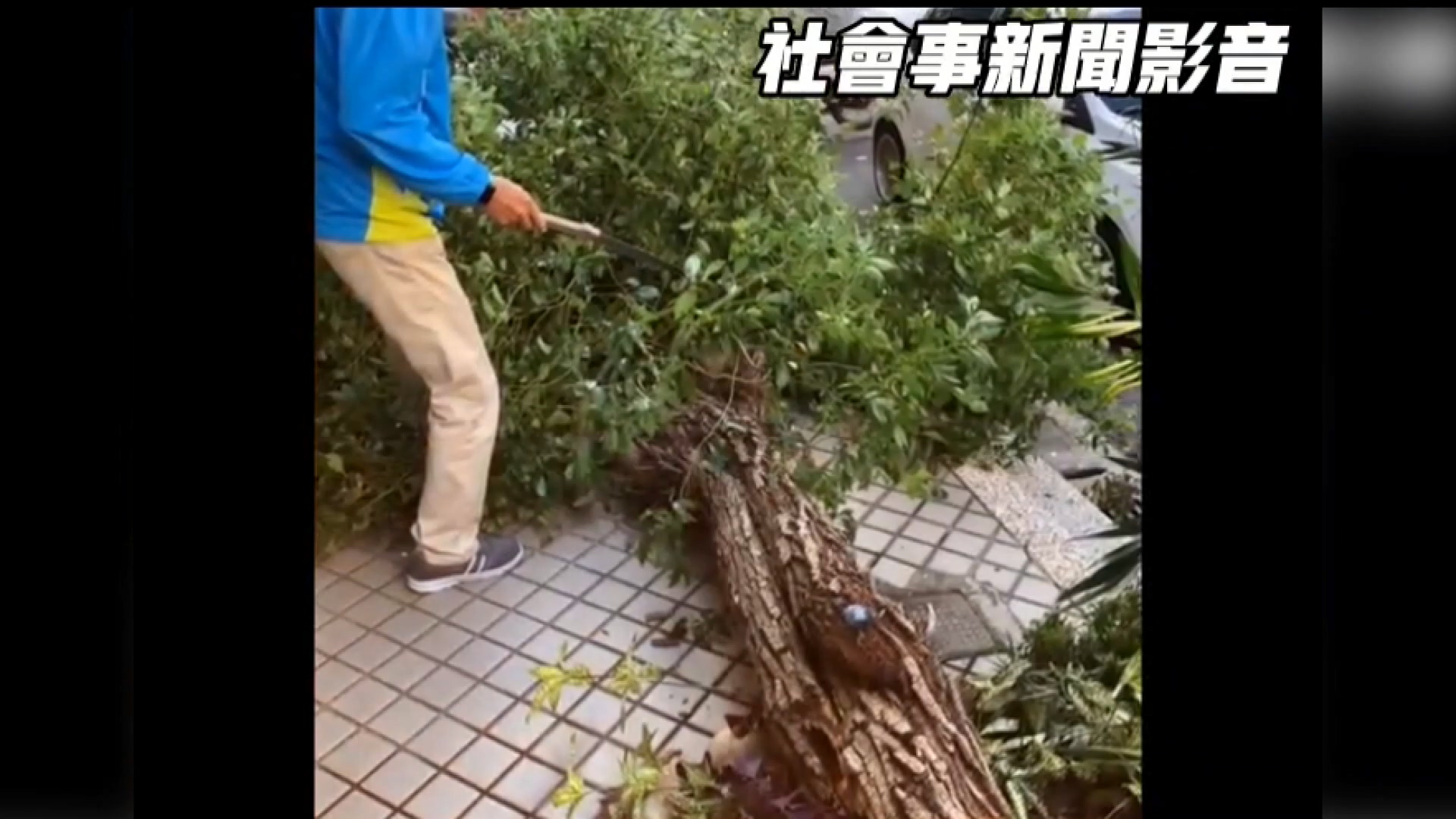 圖/翻攝自社會事新聞影音