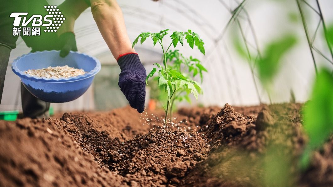 土耕的鈉含量最多。(示意圖/shutterstock達志影像)