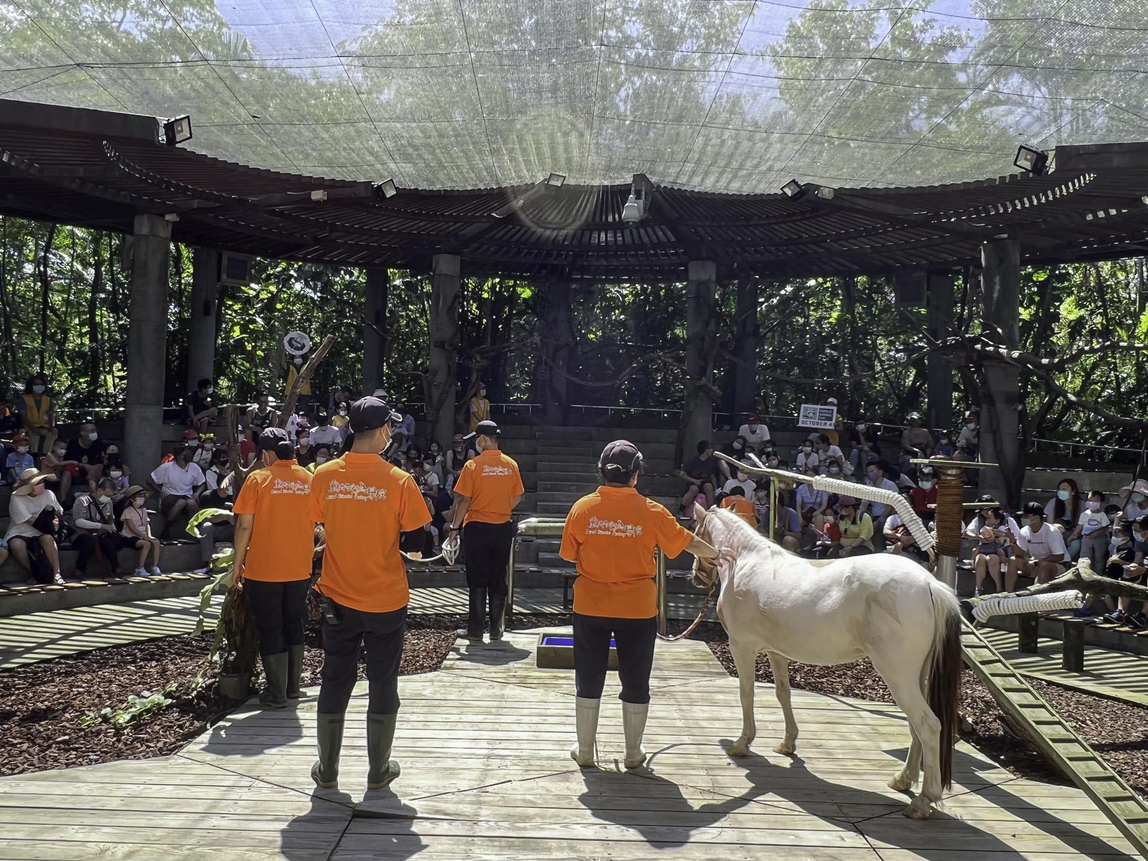 今年「動物行為學院」的活動一推出,就相當受民眾喜愛。(圖/台北市立動物園提供,鄭燕玉攝)