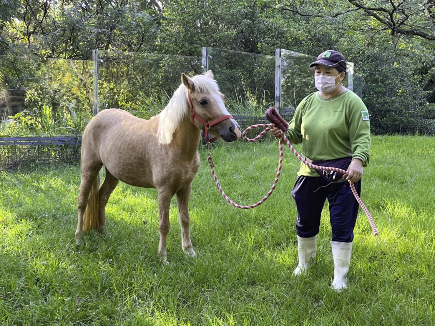保育員笑說:「在遊客步道上遇到動物,這可不是動物脫逃哦!」(圖/台北市立動物園提供)