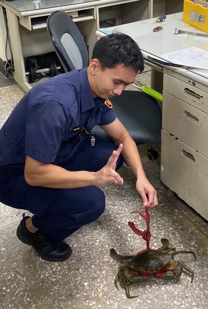 警方幫忙找回走失的螃蟹。(圖/警方提供)