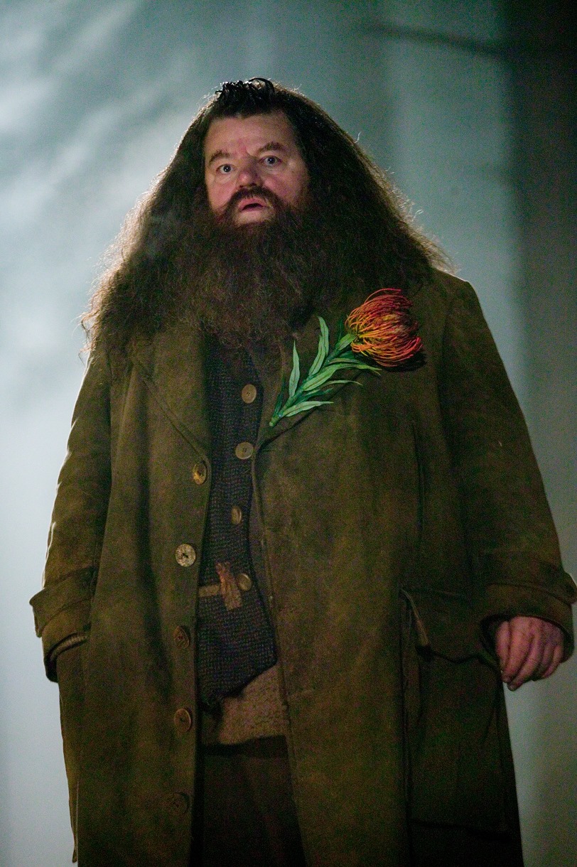 永遠的巨人羅比寇特蘭。（圖／翻攝自Harry Potter臉書）