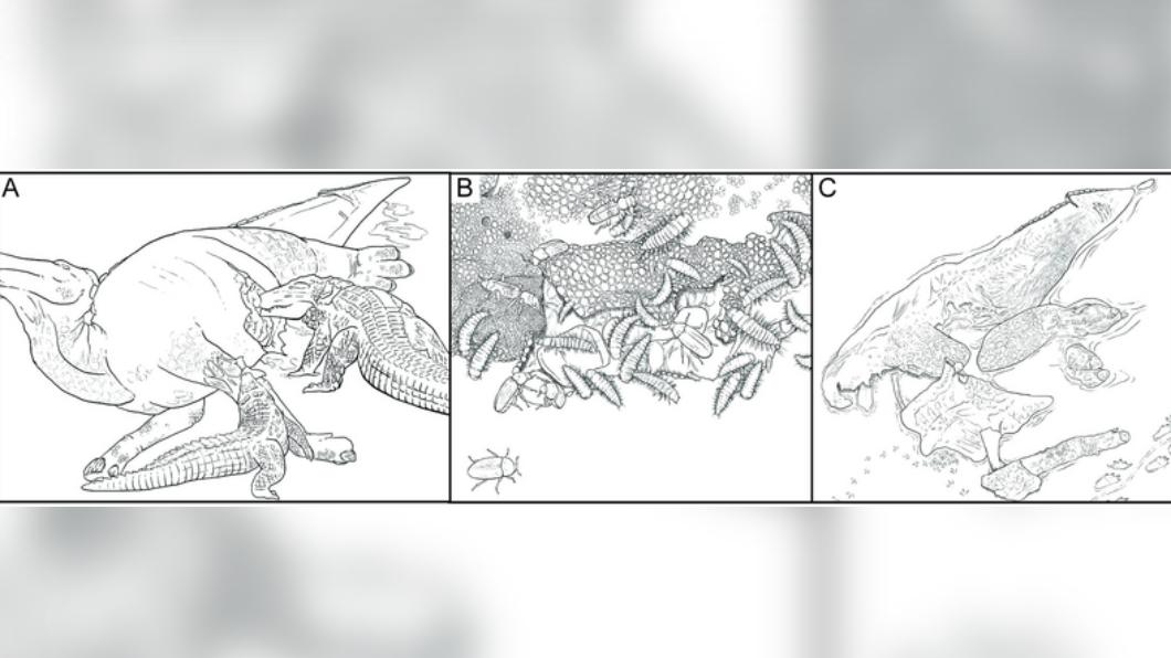 恐龍被撕咬後，皮膚內分解遺體的氣體和液體逸出，進而得以保存成木乃伊。（圖／翻攝自《CNN》）