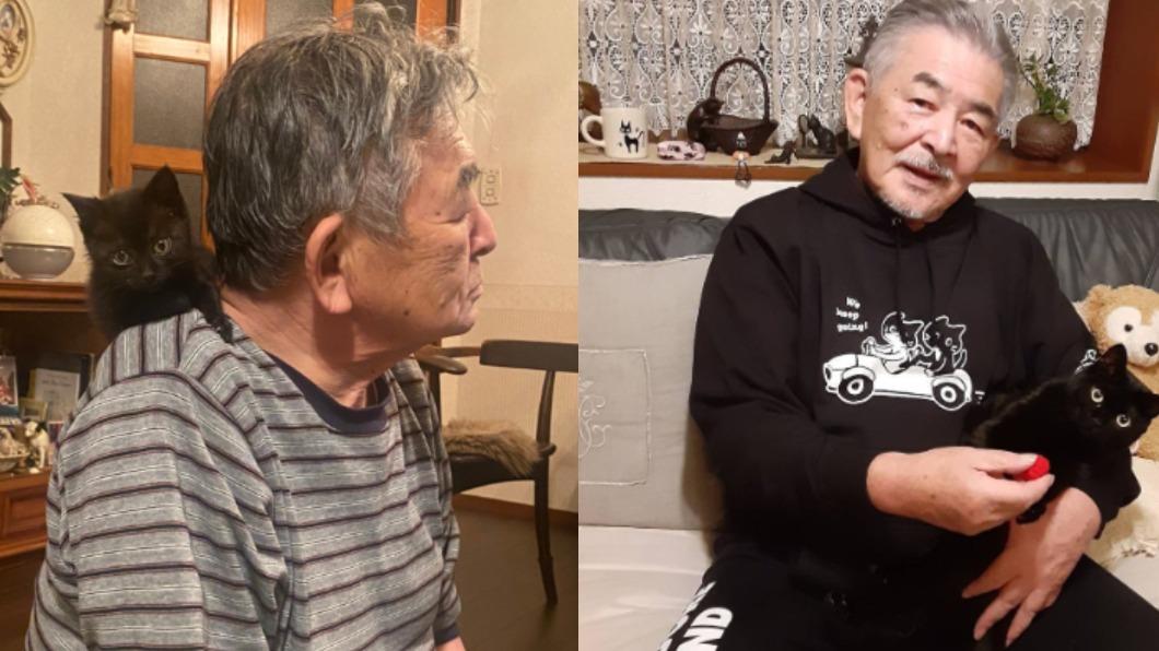 養貓讓人變年輕?日網友曬退休父對比照 14萬人狂讚