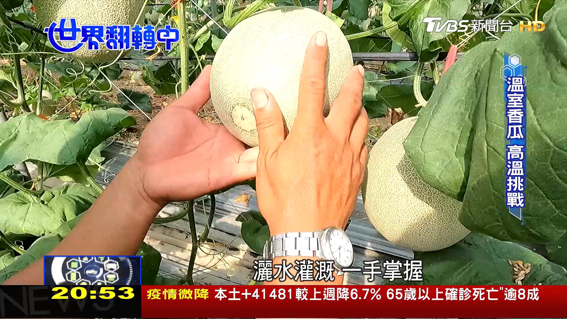 圖／TVBS
