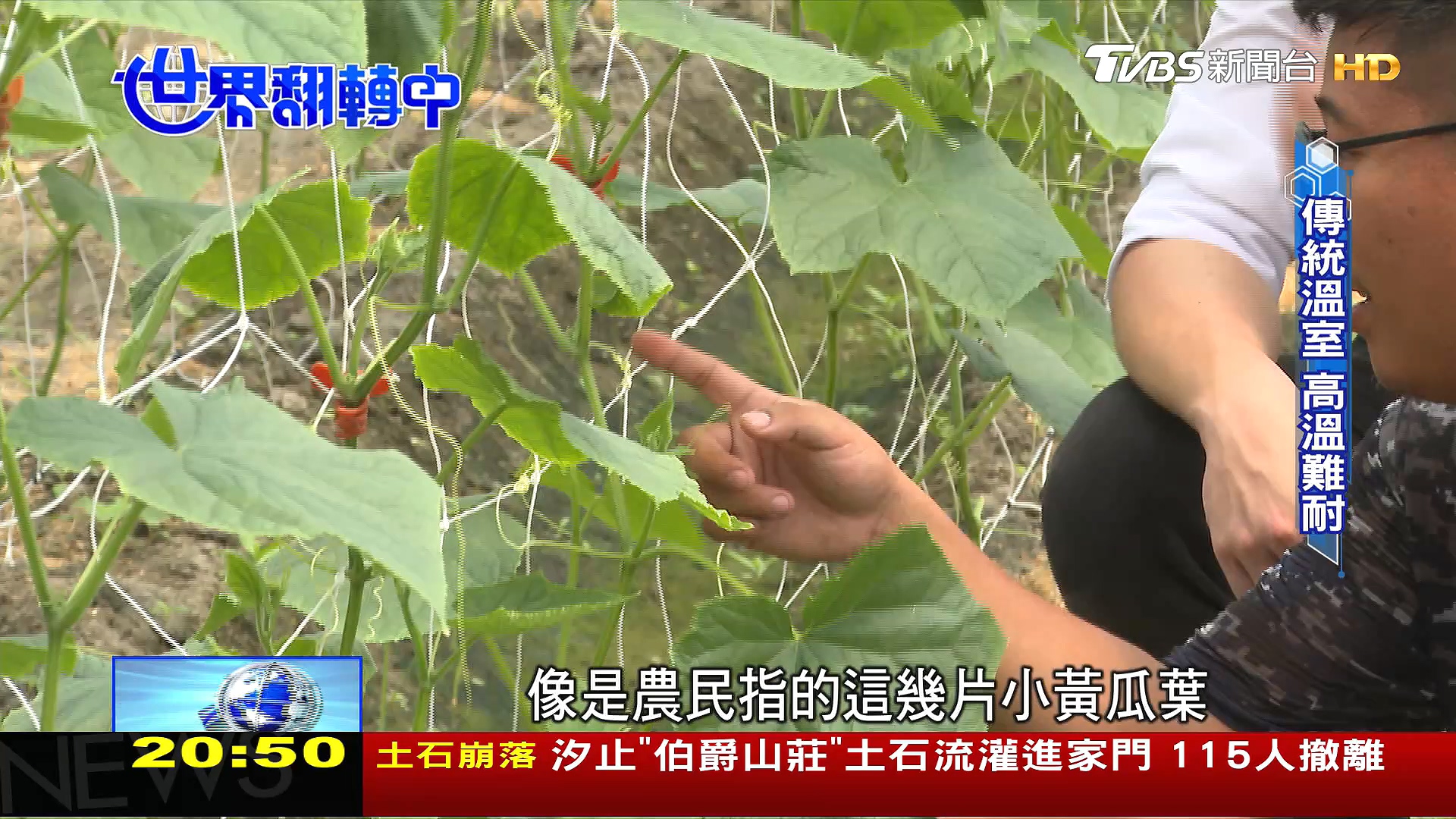 圖／TVBS