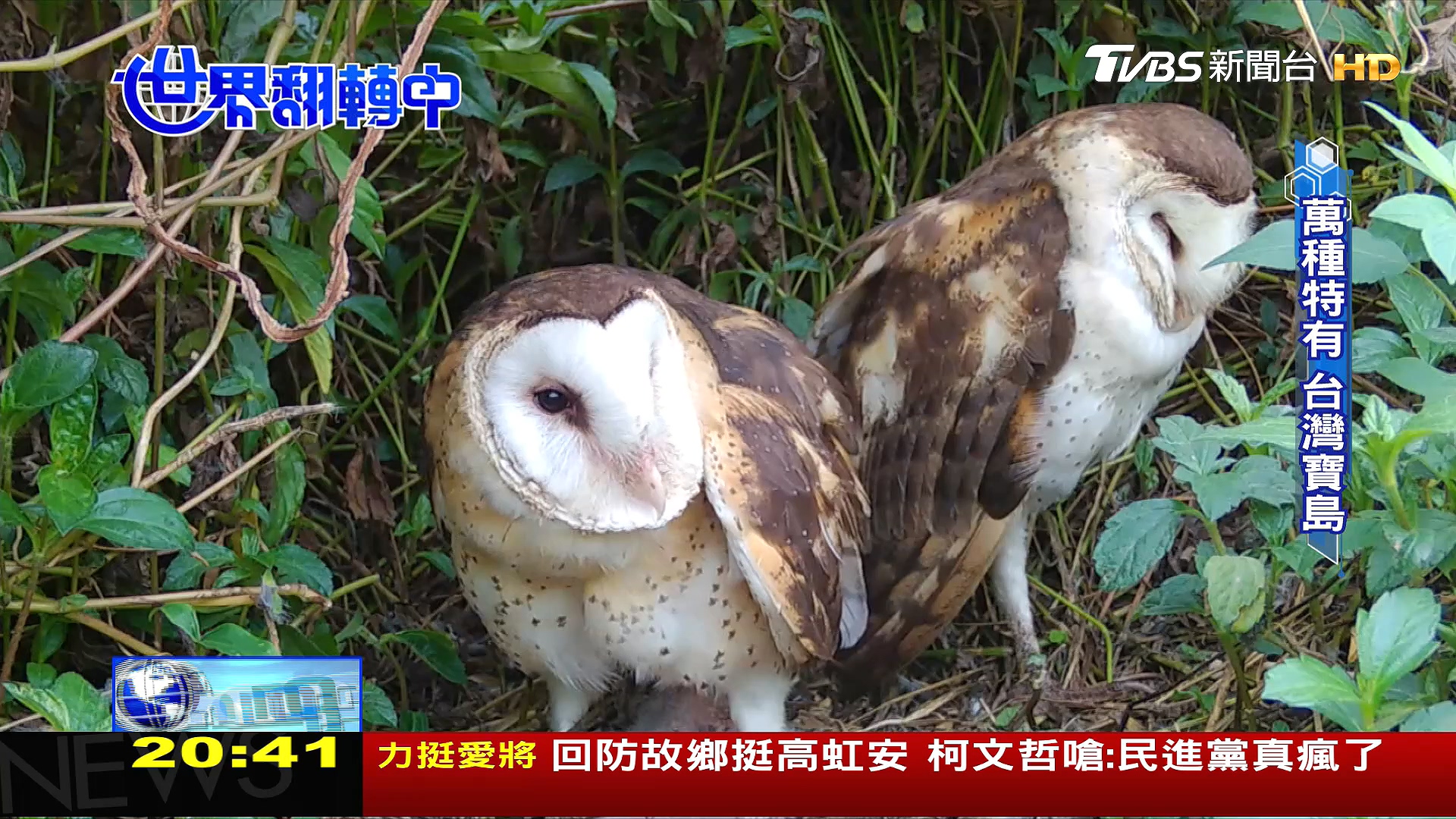 圖／TVBS