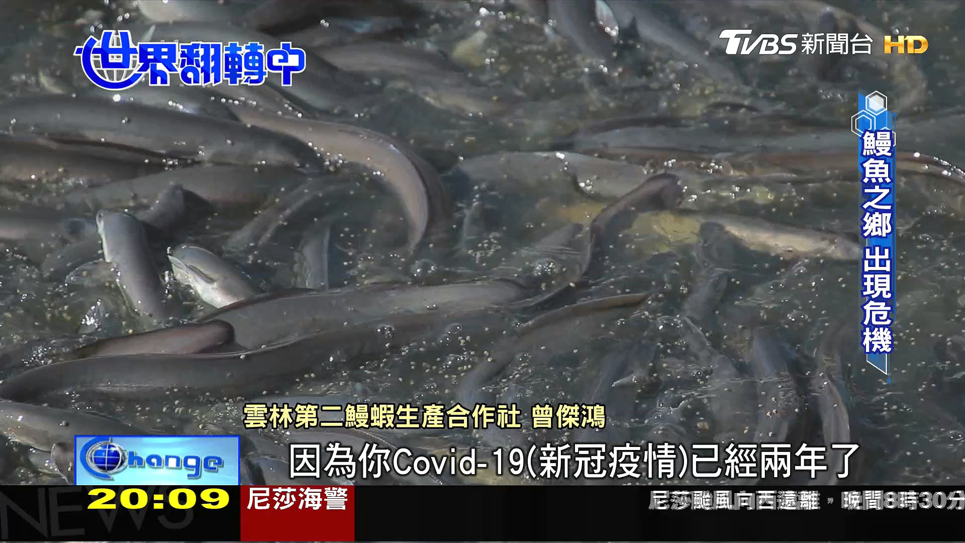 圖／TVBS