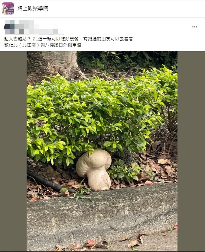 一名網友近日在北市精華路段一處分隔島上發現一個巨型蘑菇。(圖/翻攝自臉書社團「路上觀察學院」)