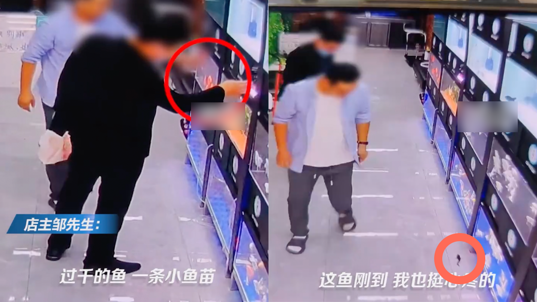 老闆表示魚摔地相當心疼。(圖/翻攝自微博)