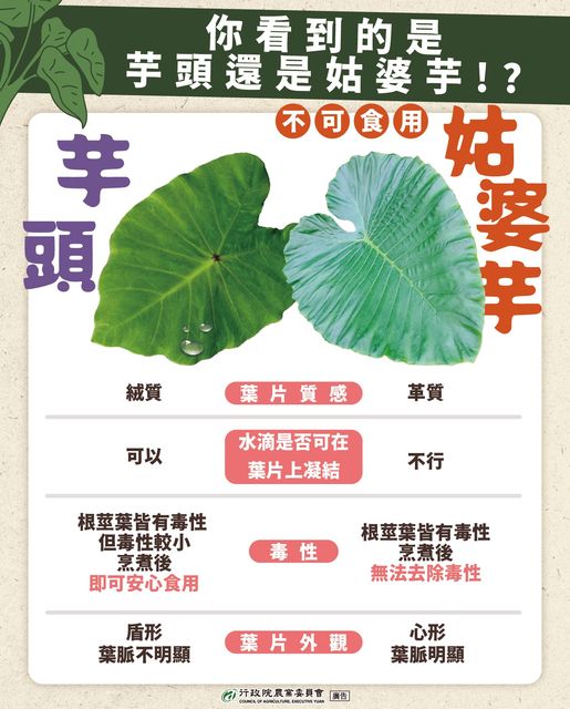 4招分辨芋頭跟姑婆芋。(圖/翻攝自行政院農業委員會臉書)