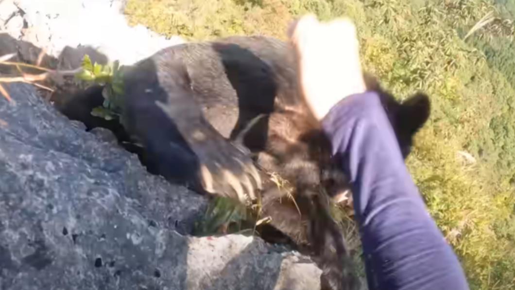 登山客擊退黑熊。(圖/翻攝自Youtube頻道Bear attacks climber - 登山者と熊 )